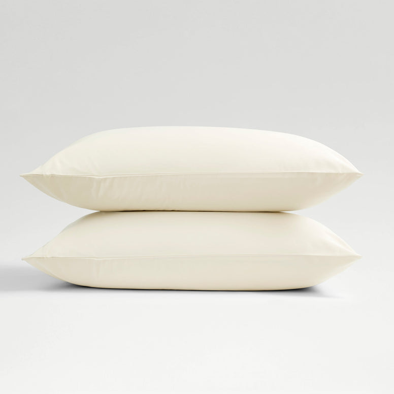 Ivory-product_image